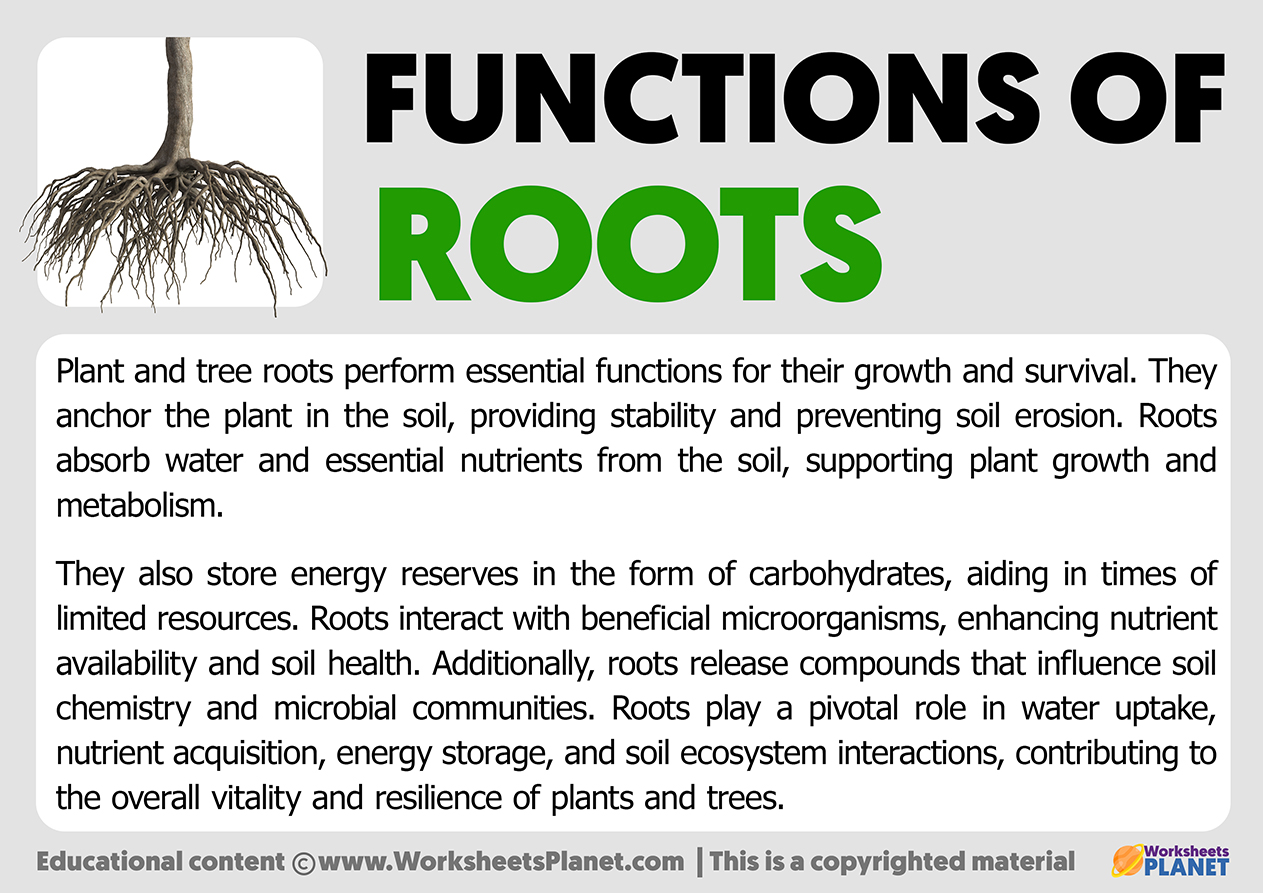 Functions Of Roots