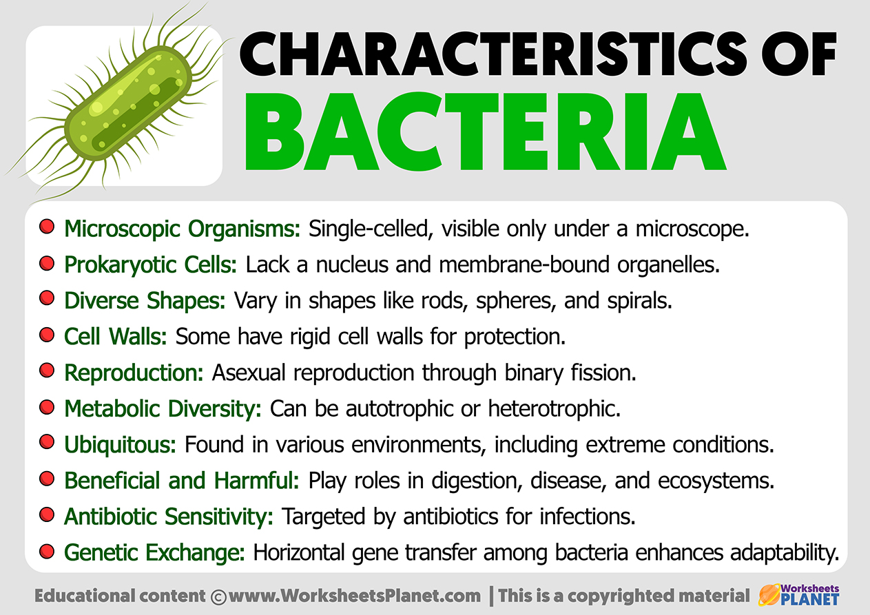 Characteristics Of Bacteria