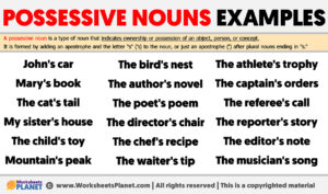 Possessive Nouns Examples
