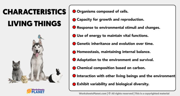 10 characteristics of living things and their meaning and examples