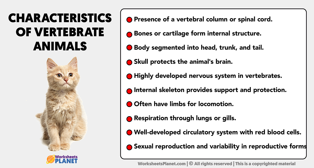 Characteristics Of Vertebrate Animals
