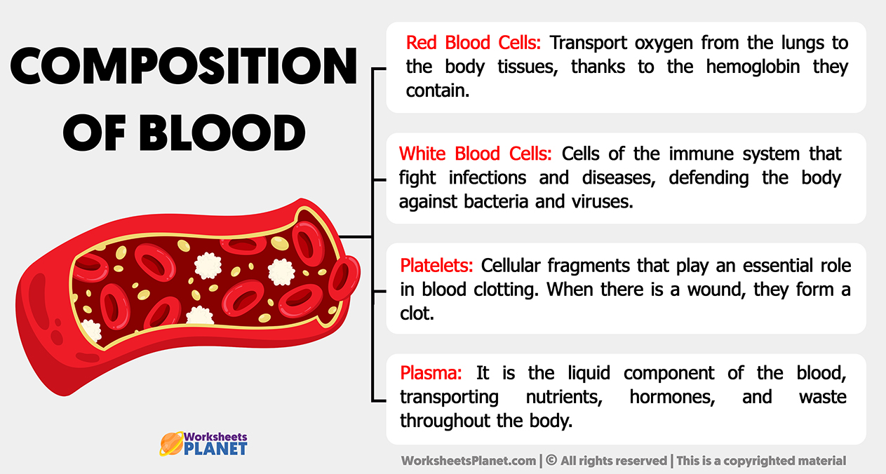 Composition Of Blood Composition Of Blood