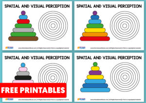 Spatial And Visual Perception