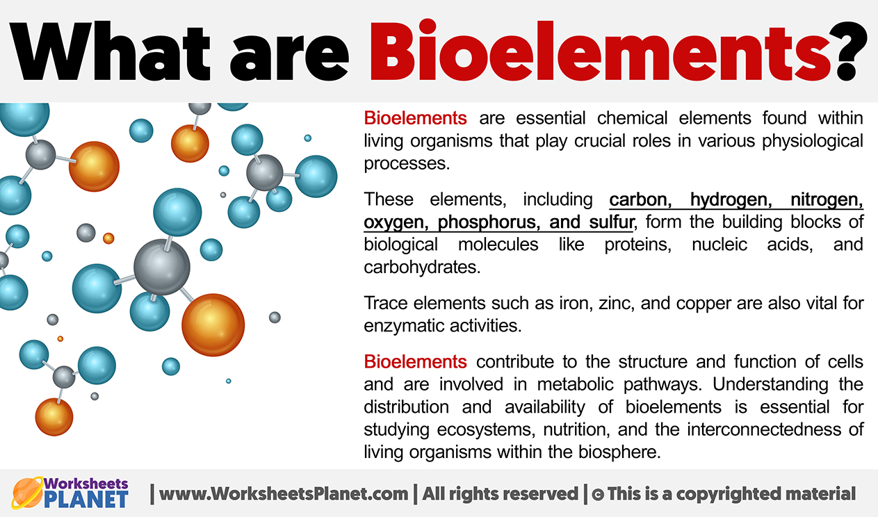 What Are Bioelements