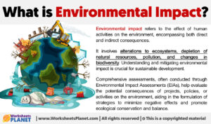 What Is Environmental Impact