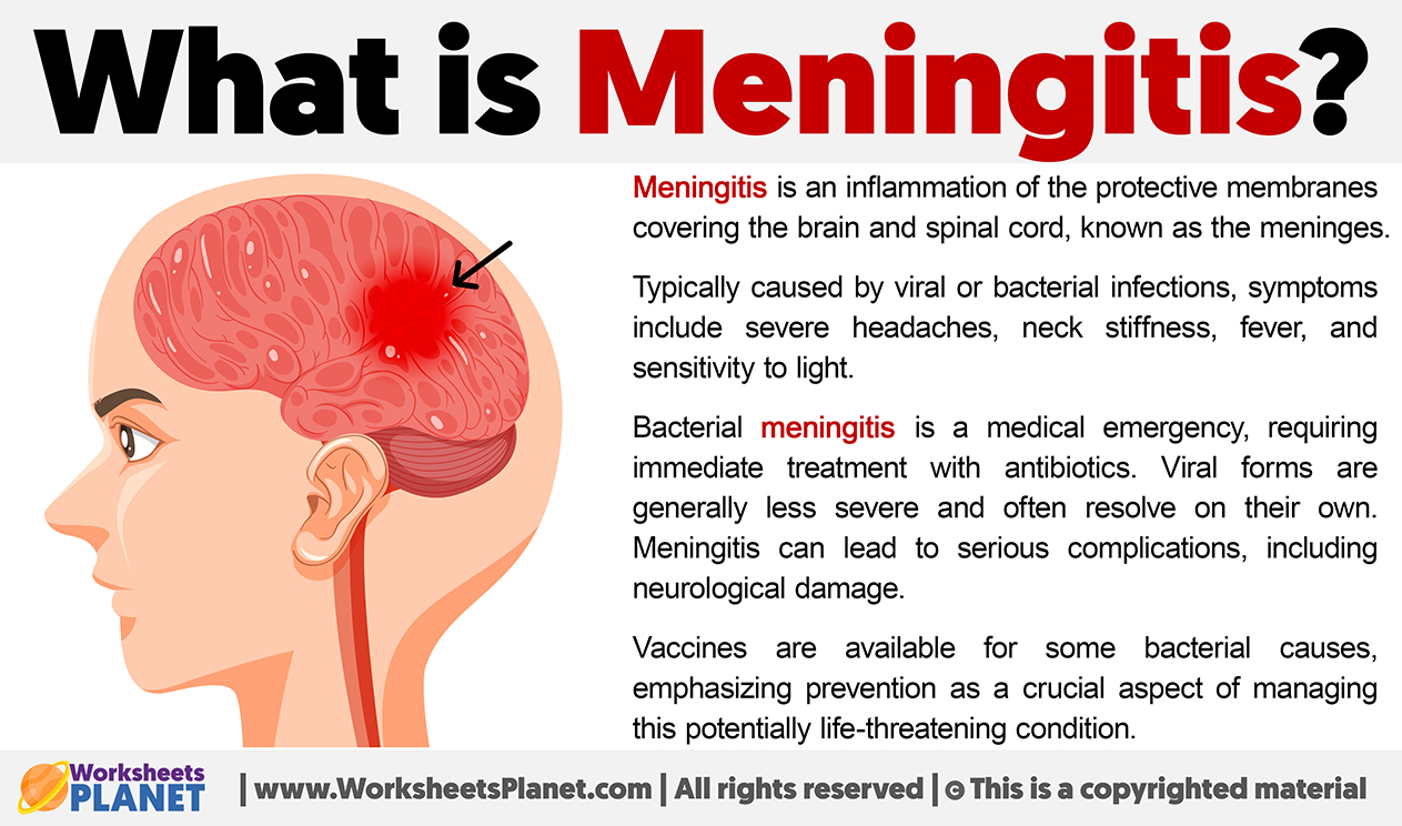 What Is Meningitis