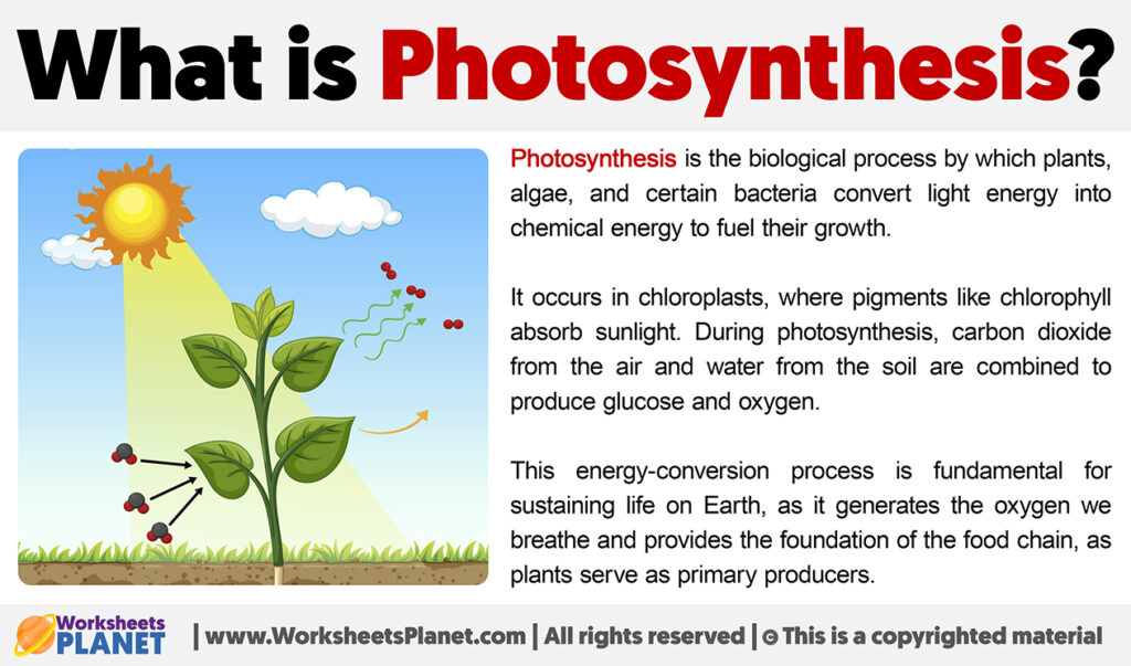 What Is Photosynthesis Definition Of Photosynthesis what-is-photosynthesis-definition-of-photosynthesis