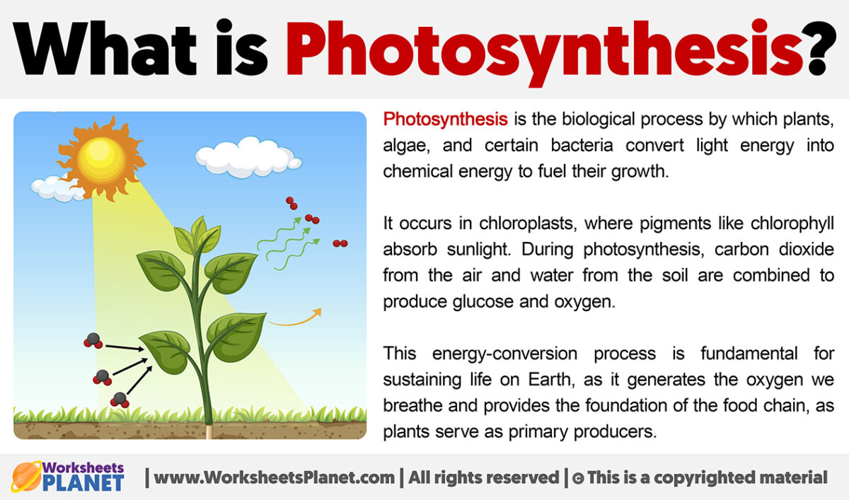 What Is Photosynthesis Definition Of Photosynthesis what-is-photosynthesis-definition-of-photosynthesis
