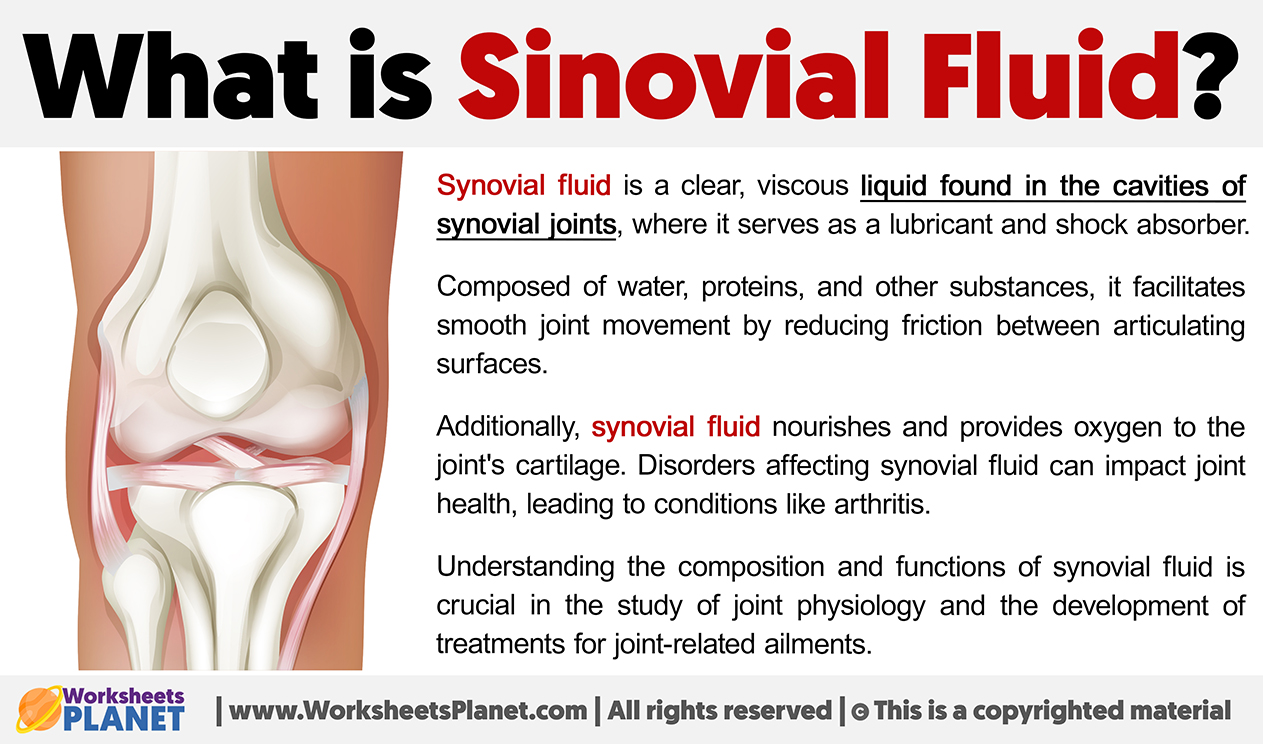 What Is Sinovial Fluid