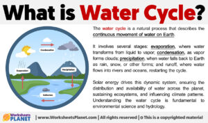 What Is Water Cycle