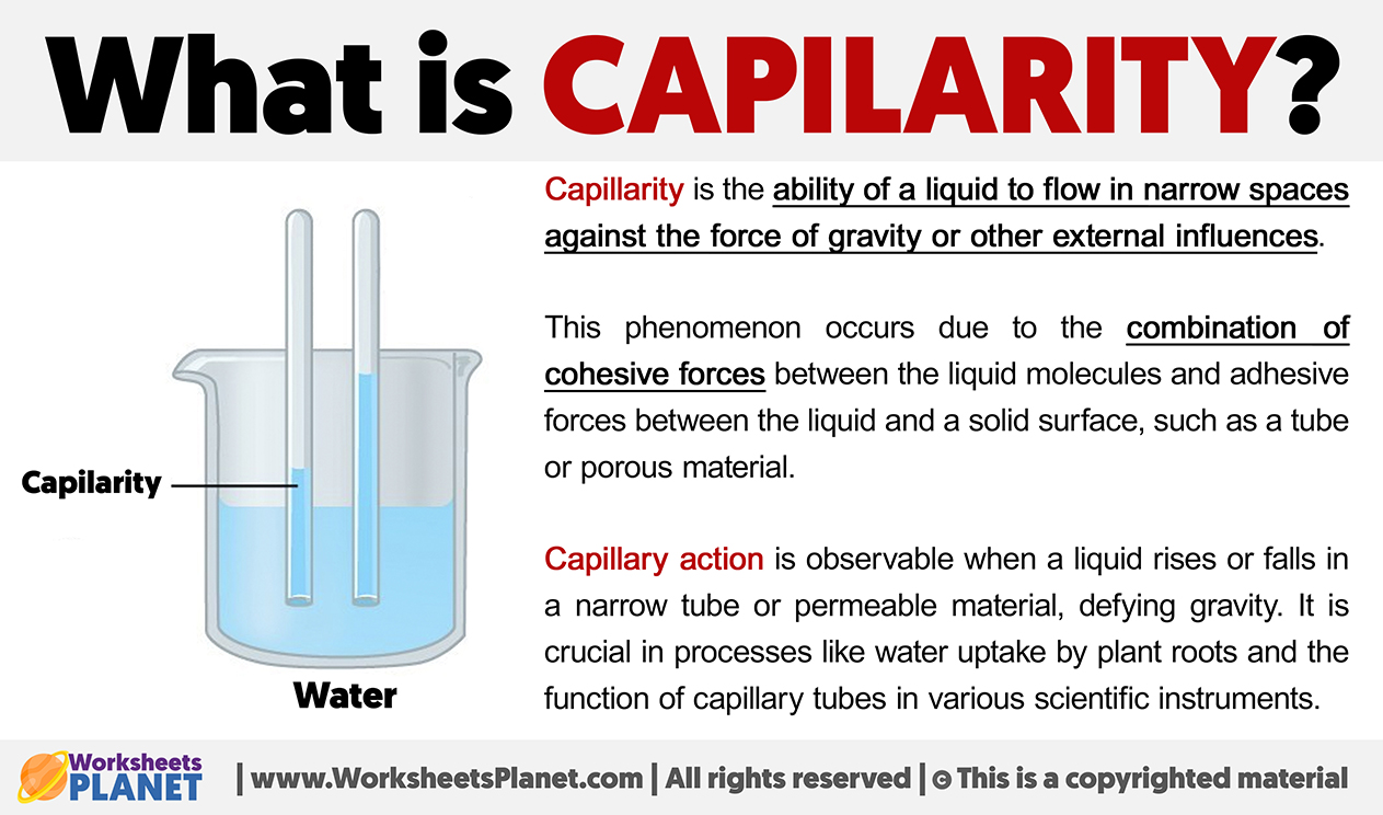 What Is Capilarity