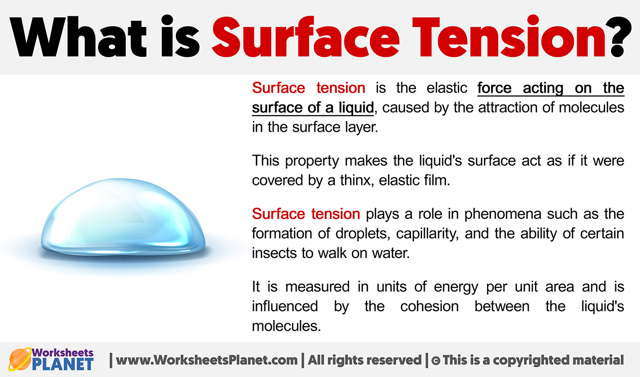 What Is Surface Tension what-is-surface-tension