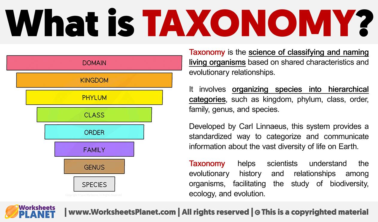 What Is Taxonomy