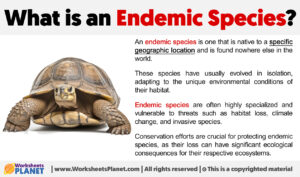 What Is An Endemic Species
