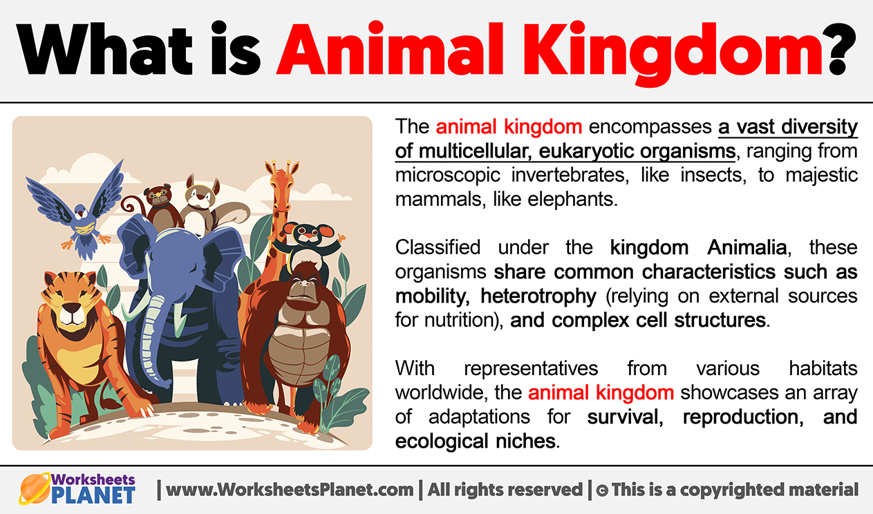 What Is Animal Kingdom