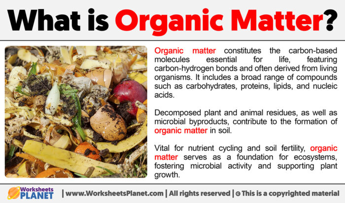 What Is Organic Matter what-is-organic-matter
