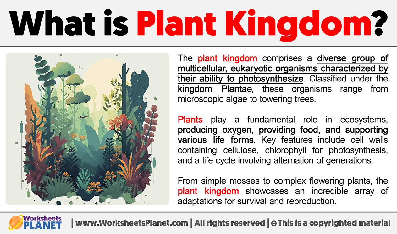 What Is Plant Kingdom