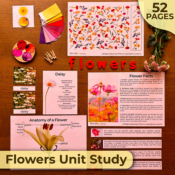 Flowers Science Unit