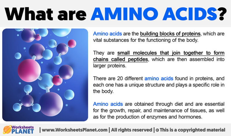 What are Amino Acids?