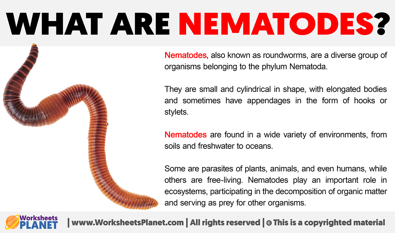 Examples Of Nematodes In Biology Examples Of Nematodes In Biology