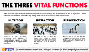 What Are The Vital Functions