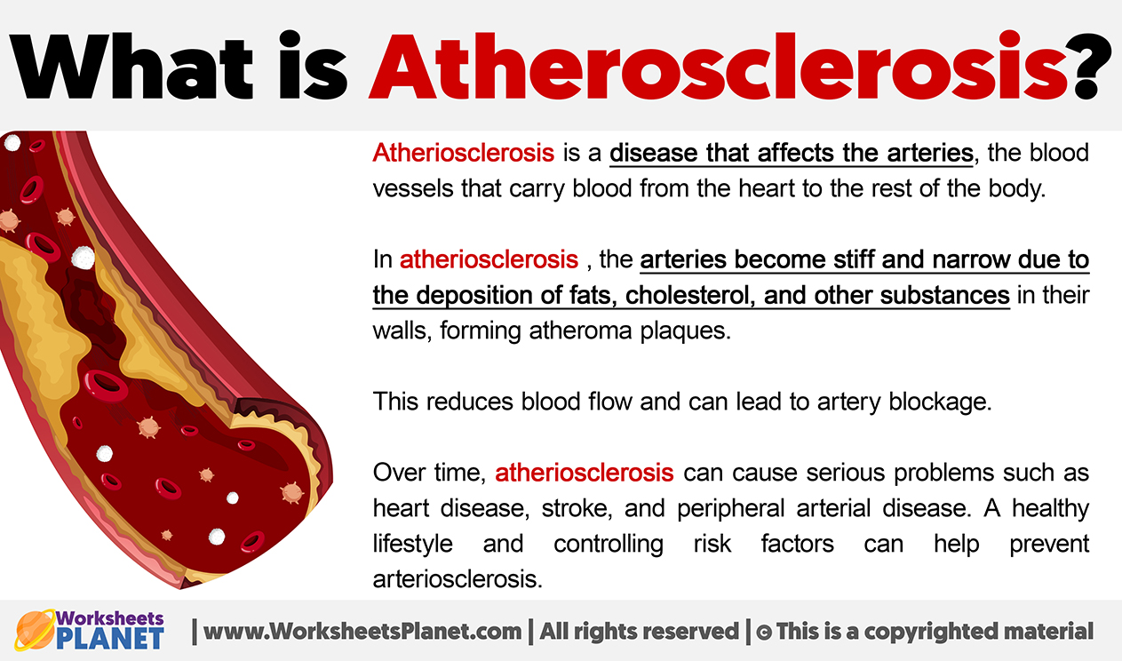 What Is Atherosclerosis