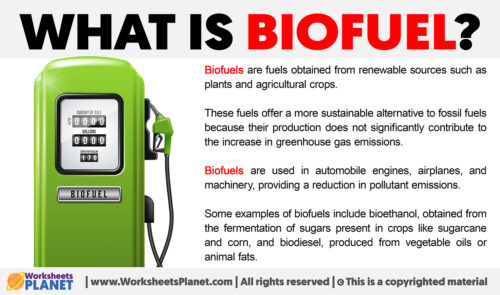 What is Biofuel? - Worksheets Planet