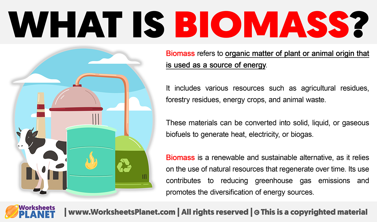 What Is Biomass