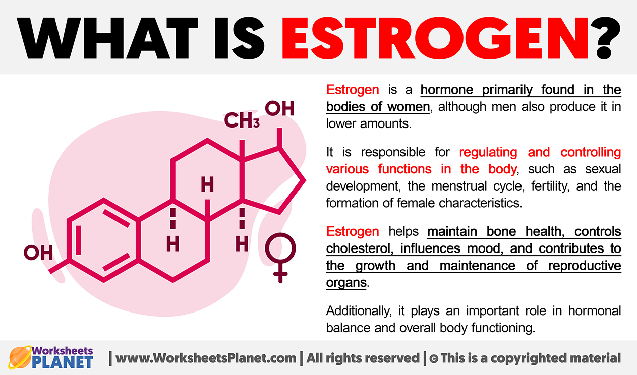 What Is Estrogen