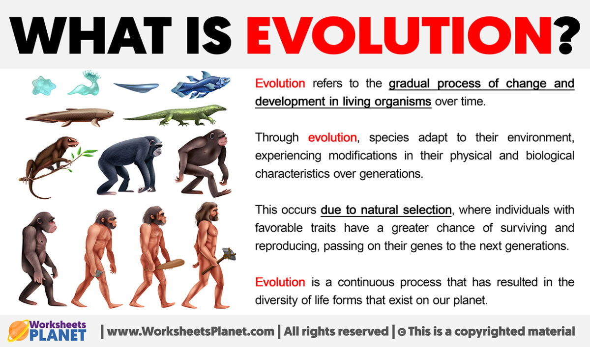 What is evolution definition of evolution