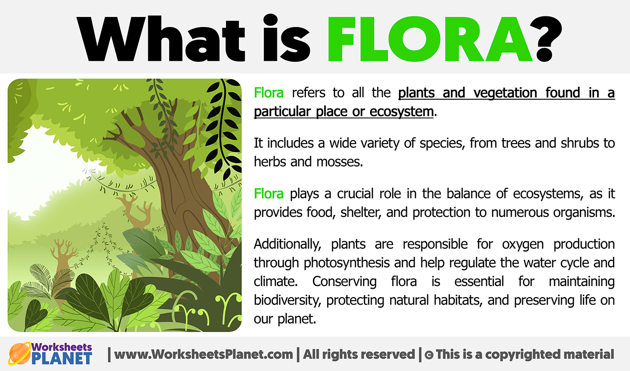 What Is Flora