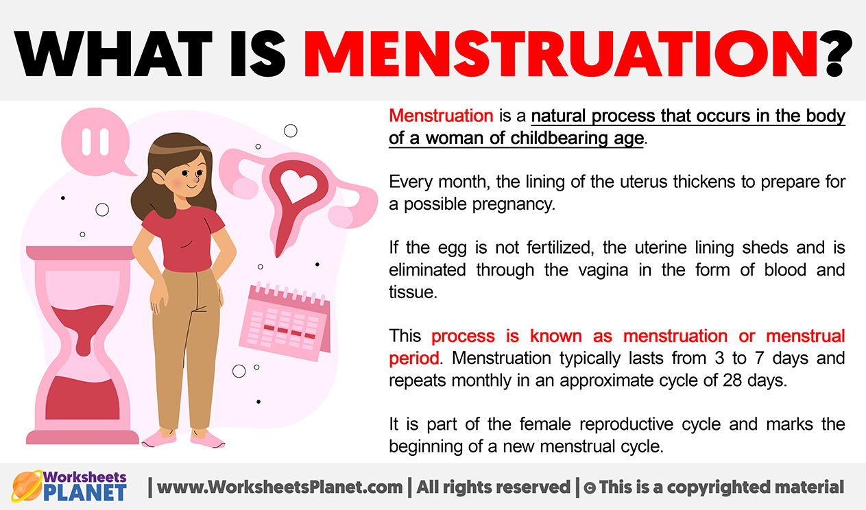 What Is Menstruation