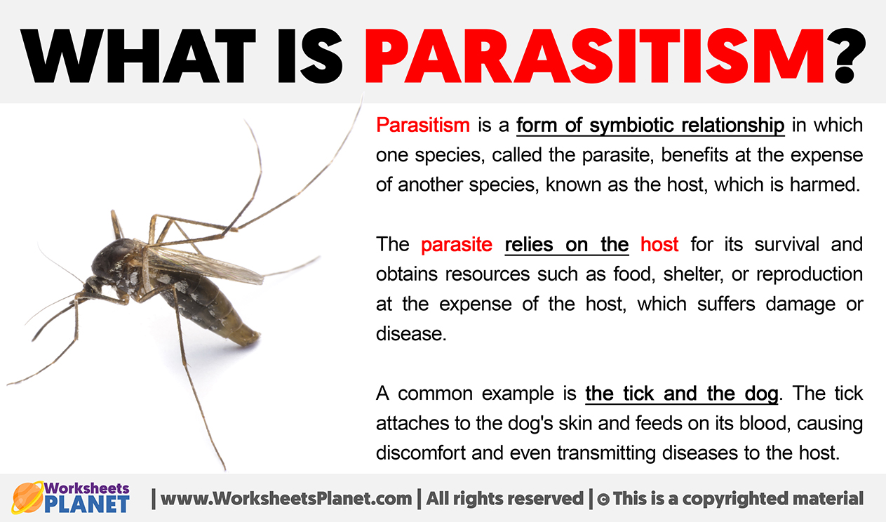 What Is Parasitism
