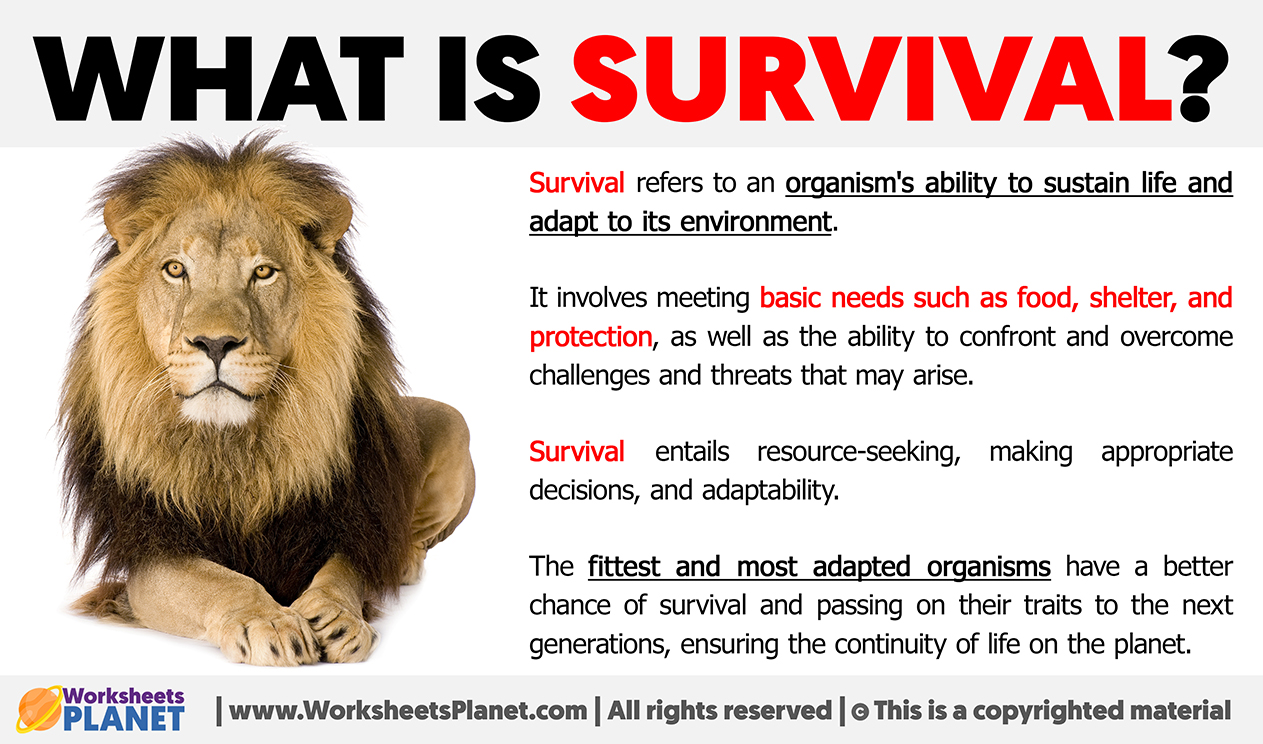 What Is Survival