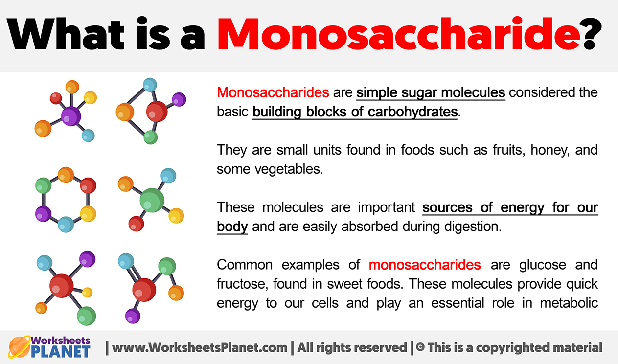 What Is A Monosaccharide