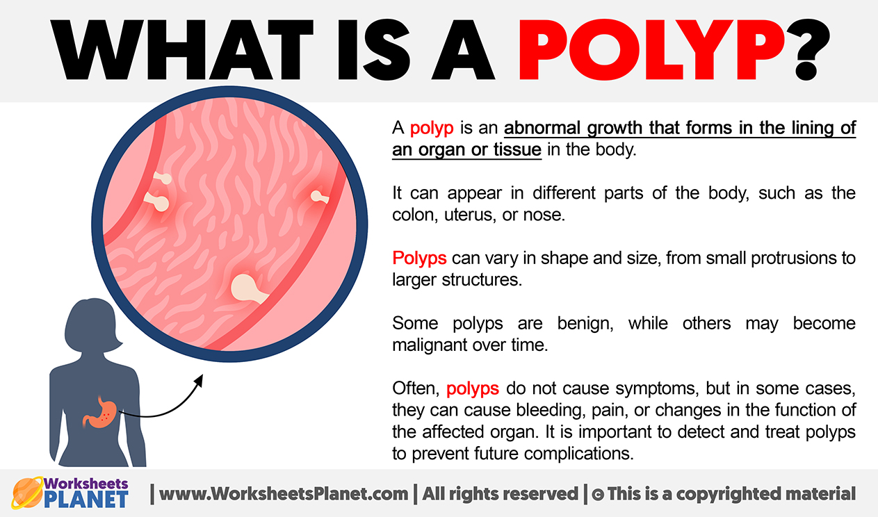 What Is A Polyp