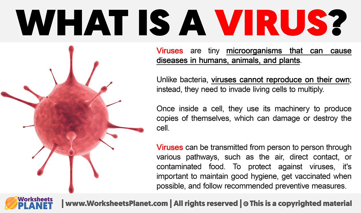 What Is A Virus