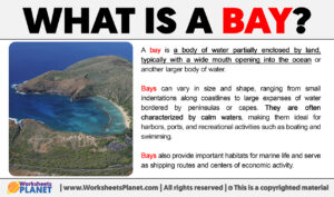 What Is A Bay