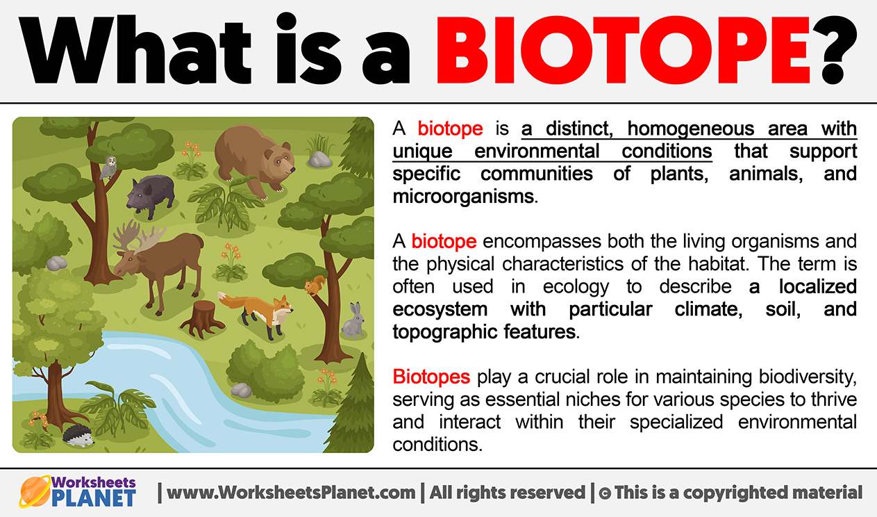 What Is A Biotope