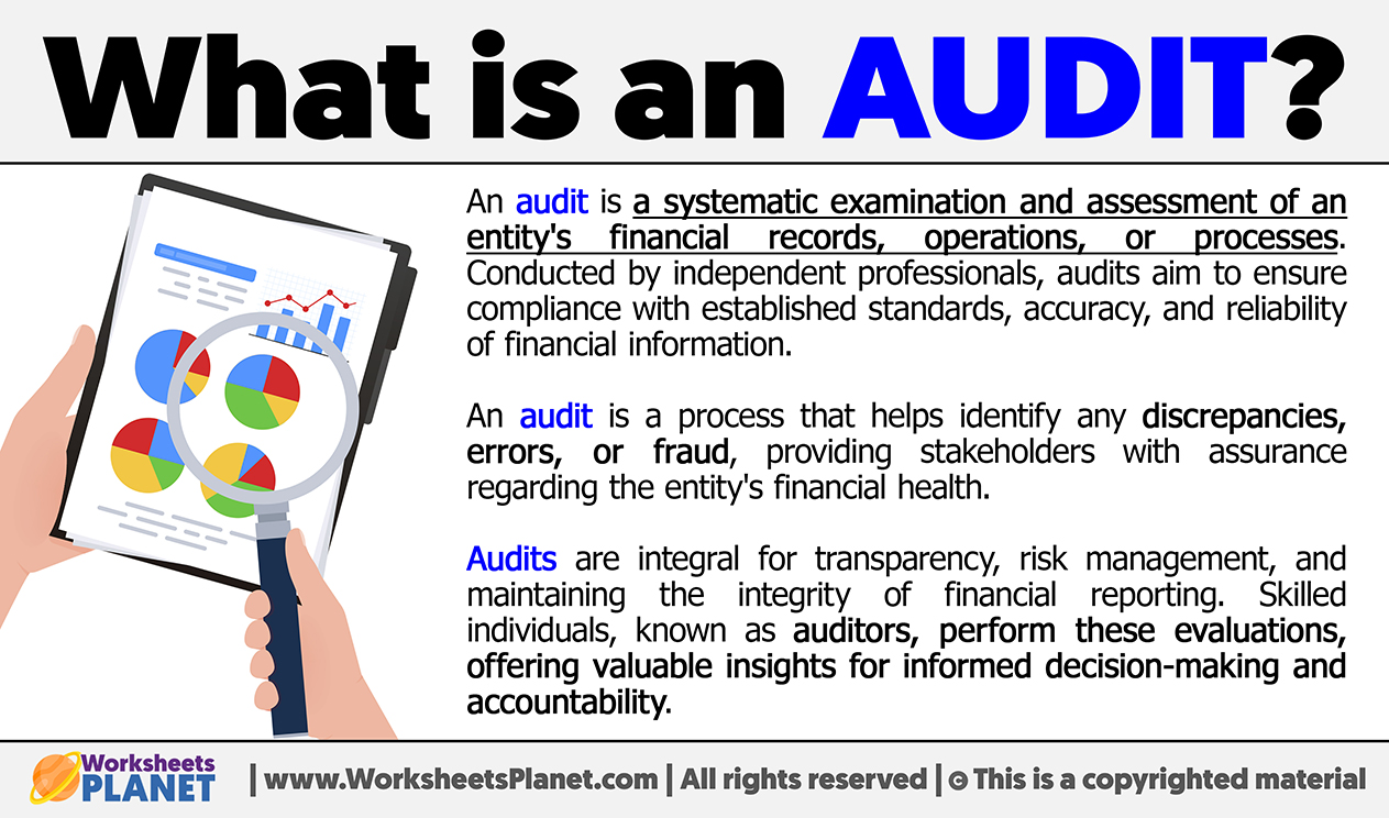 What Is An Audit