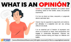 What Is An Opinion