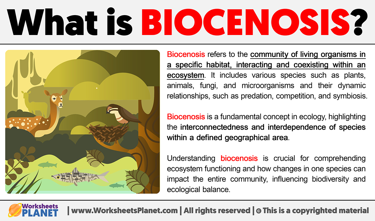 What Is Biocenosis