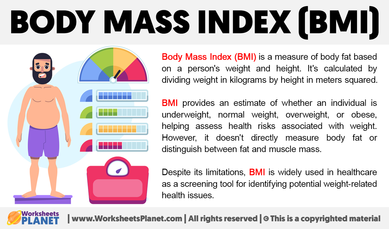 What Is Body Mass Index