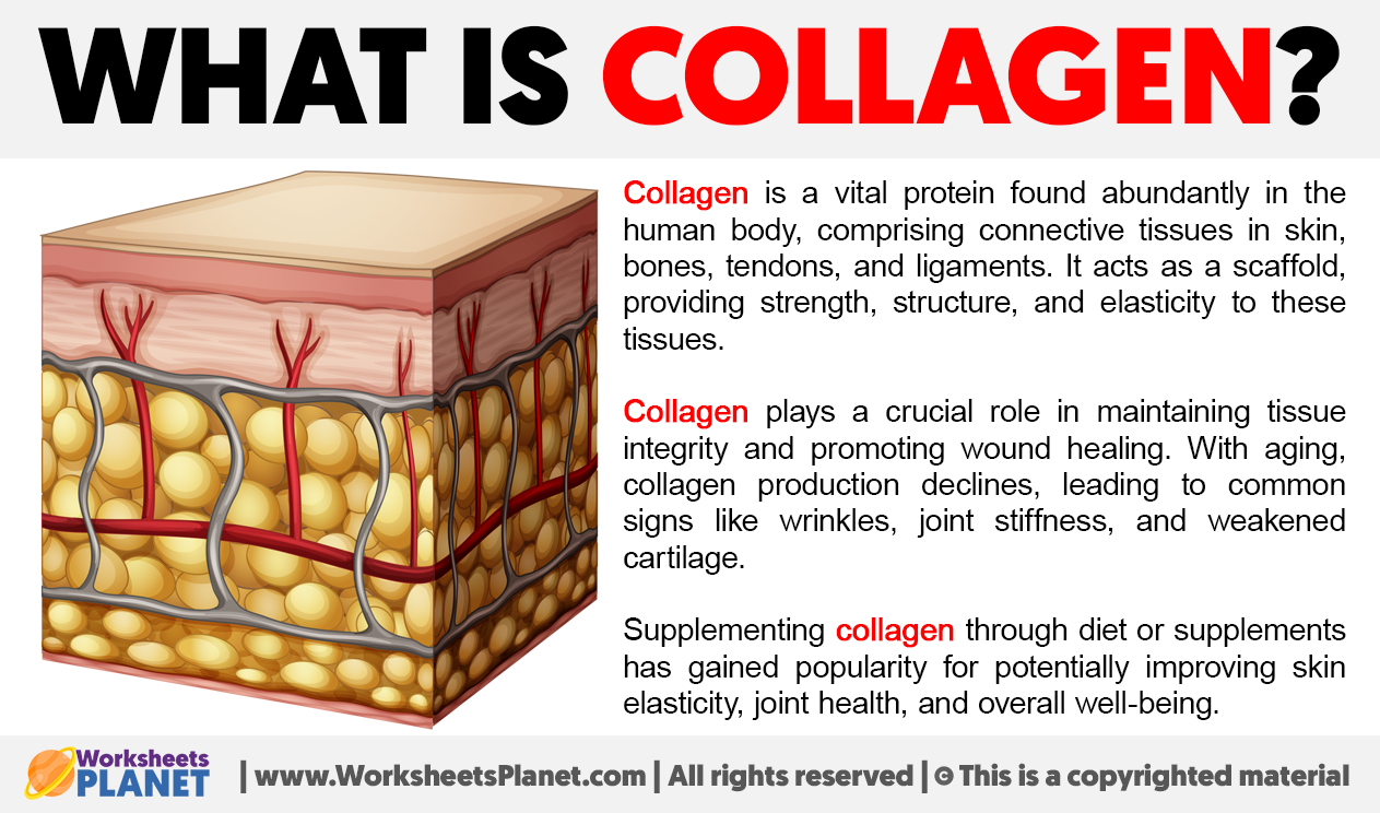 What Is Collagen