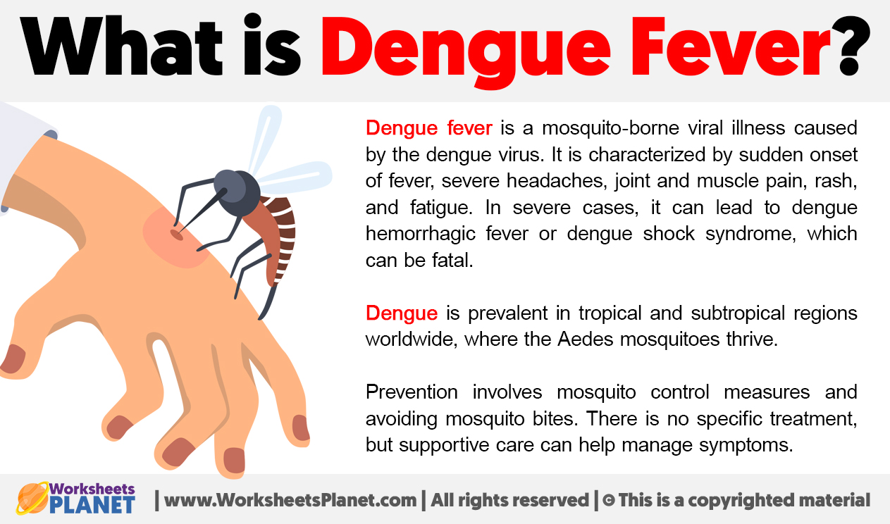 What Is Dengue Fever