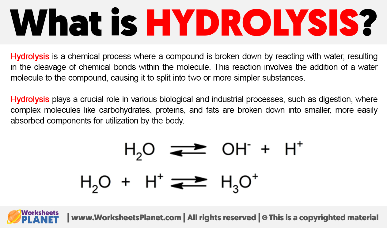 What Is Hydrolysis