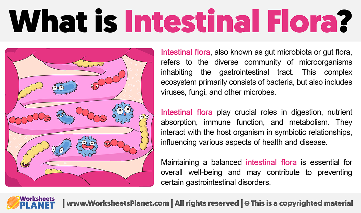 What Is Intestinal Flora