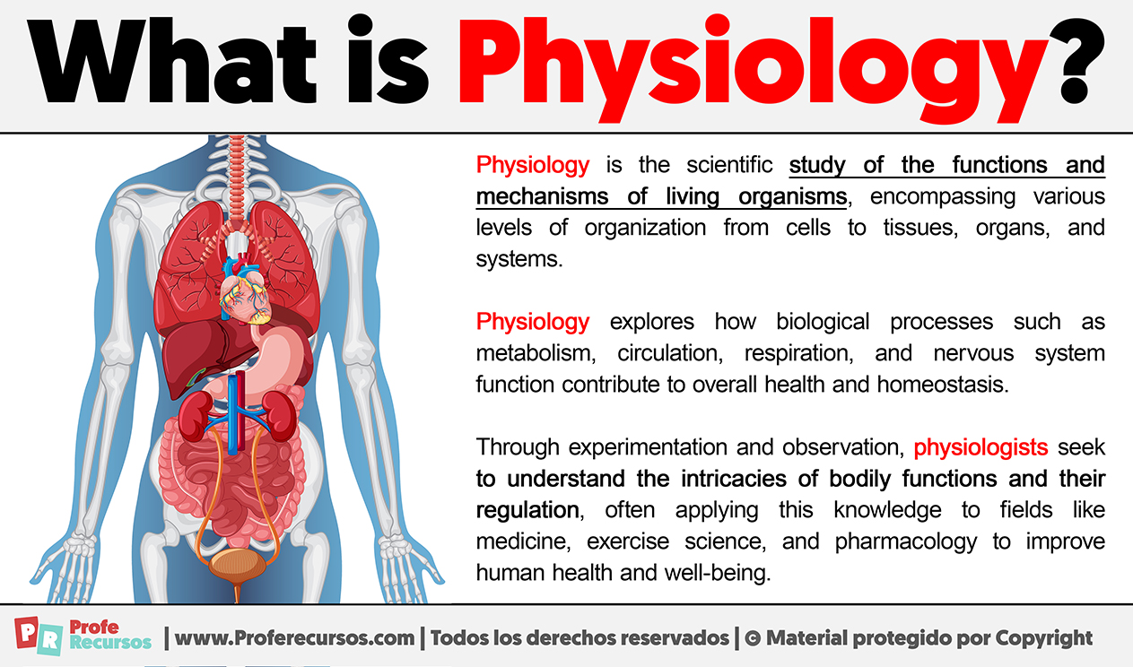 What Is Physiology