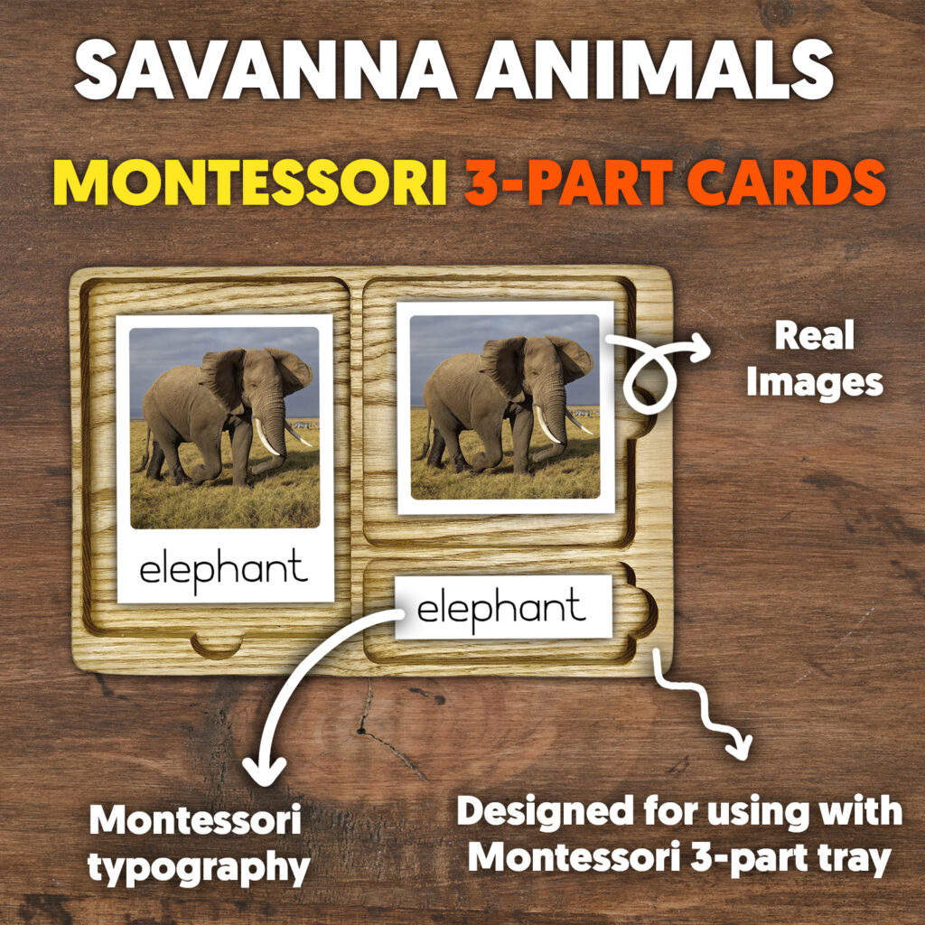 Savann Animals Montessori 3 Part Cards