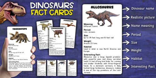 Dinosaurs Facts Cards Dinosaurs Flashcards Dinosaurs Facts Cards Dinosaurs Flashcards